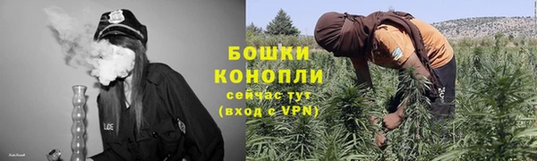 трава Алексин