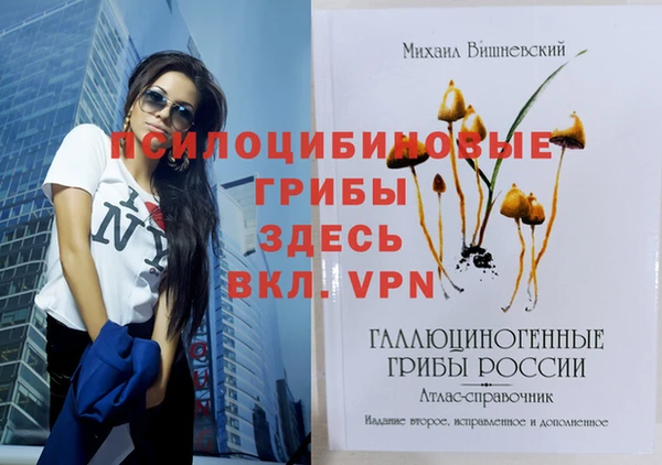 герыч Алексеевка