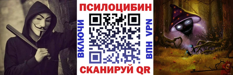сайты даркнета состав  Заводоуковск  Галлюциногенные грибы Psilocybe 