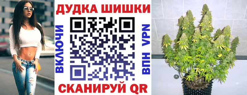 Бошки Шишки Amnesia  Заводоуковск 